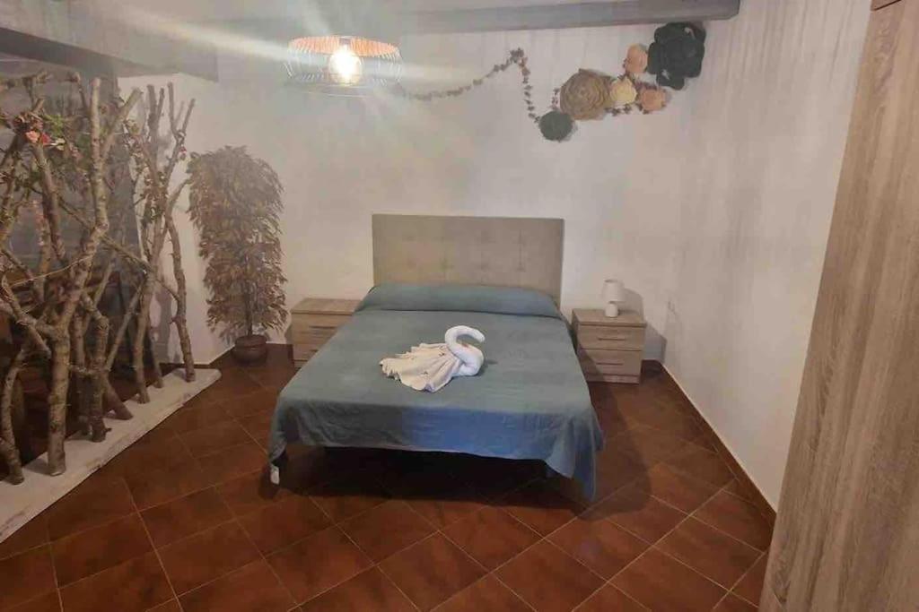 Chalet A 2 Kilometros De La Playa 奇克拉纳－德拉弗龙特拉 外观 照片